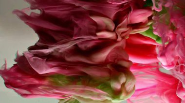 Suyun altında dönen kırmızı ve yeşil mürekkep. Soyut duman patlaması etkisi. Soyut gri arkaplan