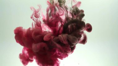 Güzel kırmızı ve siyah soyut bir bulanıklık. Beyaz arka planda pembe-siyah mor-mor elementler. Suluboya soyut doku