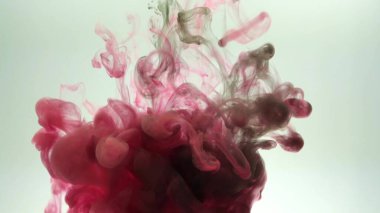 Güzel kırmızı ve siyah soyut bir bulanıklık. Beyaz arka planda pembe-siyah mor-mor elementler. Suluboya soyut doku