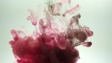 Güzel kırmızı ve siyah soyut bir bulanıklık. Beyaz arka planda pembe-siyah mor-mor elementler. Suluboya soyut doku