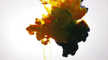 Beyaz arka planda, suda renkli boya patlaması.