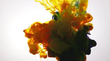 Beyaz arka planda, suda renkli boya patlaması.