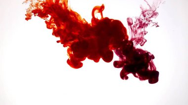 Beyaz arka planda, suda renkli boya patlaması.