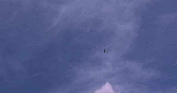 Фон Голубого Неба Белыми Облаками Летний День — стоковое фото