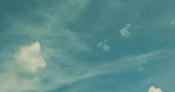 Fundo Céu Azul Com Nuvens Brancas Dia Verão — Fotografia de Stock