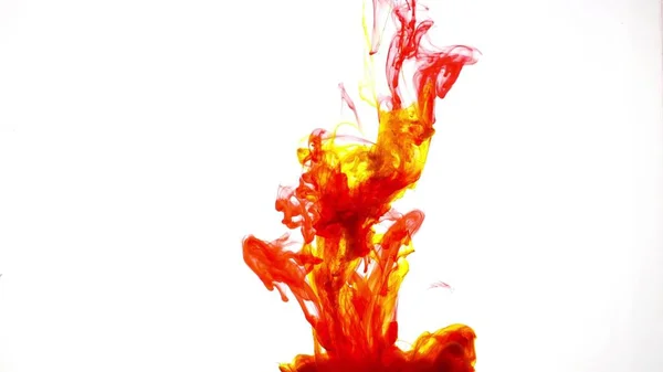 Explosion Colored Paints Water White Background — Stock Photo, Image