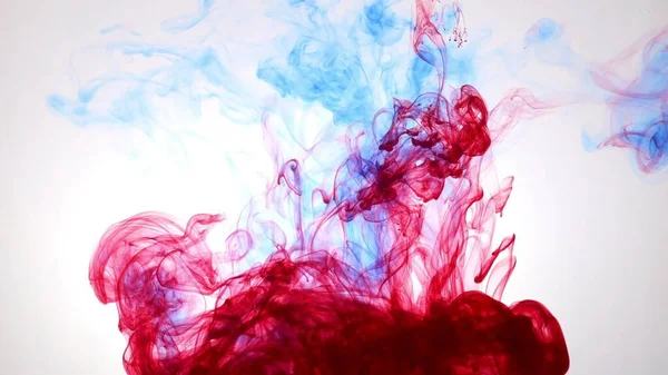 Explosion Colored Paints Water White Background — Stock Photo, Image