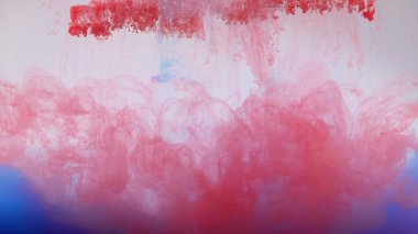 Beyaz arka planda, suda renkli boya patlaması.