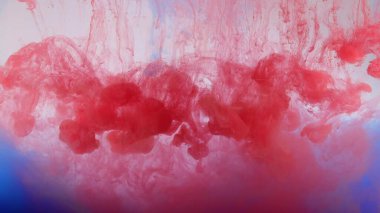 Beyaz arka planda, suda renkli boya patlaması.