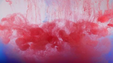 Beyaz arka planda, suda renkli boya patlaması.