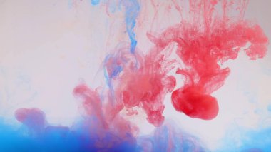 Beyaz arka planda, suda renkli boya patlaması.