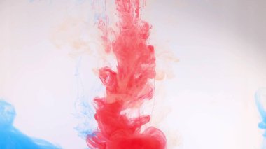 Beyaz arka planda, suda renkli boya patlaması..