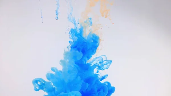 Eine Explosion Farbiger Farben Wasser Auf Weißem Hintergrund — Stockfoto