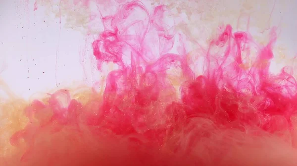 An explosion of colored paints in water on a white background