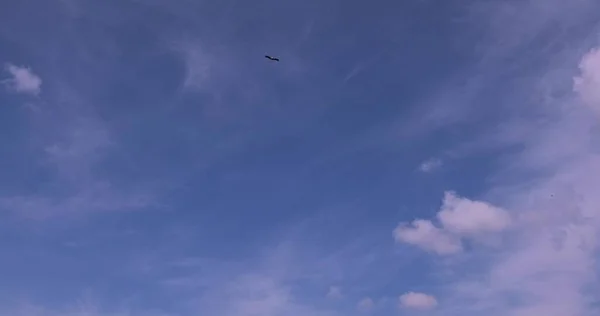 Fundo Céu Azul Com Nuvens Brancas Dia Verão — Fotografia de Stock