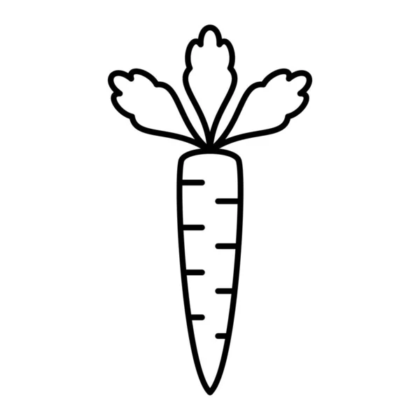 Чертеж Моркови — стоковый вектор