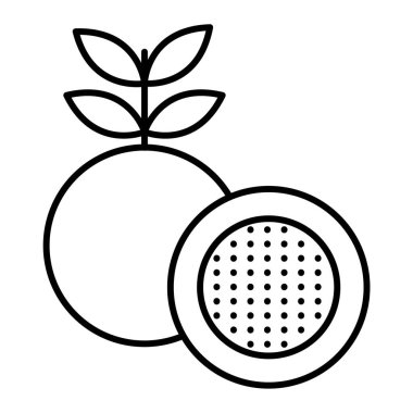 ejderha meyve vektör çizimi