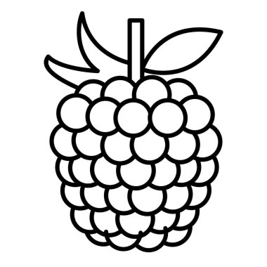 Ahududu meyvesi ikonu. Ana hatlarıyla ahududu vektör çizimi. Beyaz arkaplanda izole edilmiş sınır.