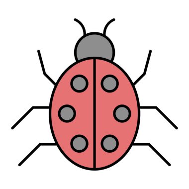 Uğur böceği vektör illüstrasyonuName