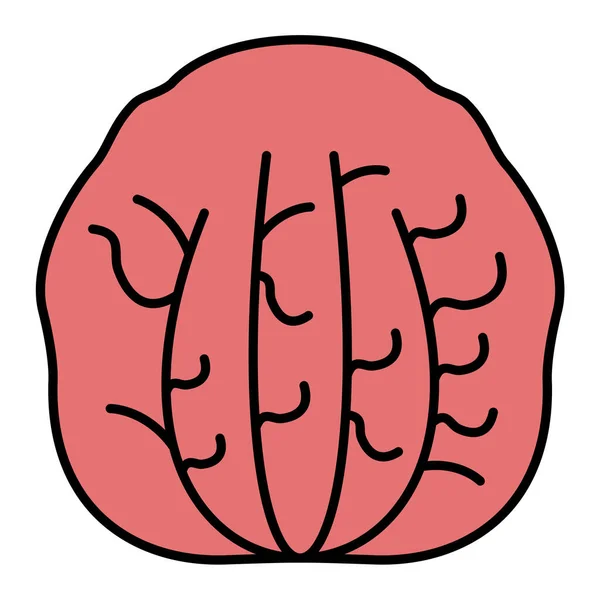 Векторна Ілюстрація Мультиплікаційного Мозку — стоковий вектор