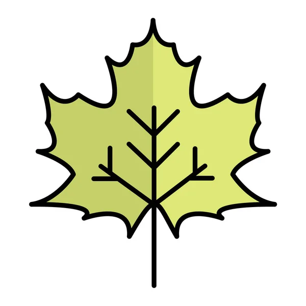 Maple Leaf Icon Vector Illustration Graphic Design — Stock Vector