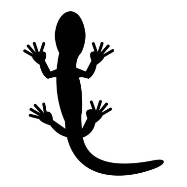 Beyaz arkaplanda kertenkele silueti, vektör illüstrasyonu