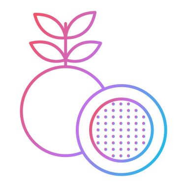 Taze meyve simgesinin vektör illüstrasyonu 