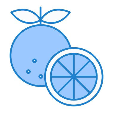 taze meyve portakal vektörü çizimi grafik tasarımı