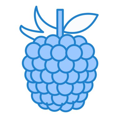 Ahududu meyvesi ikonu. Ana hatlarıyla ahududu vektör çizimi. beyaz arkaplanda izole