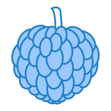 Bir ahududunun vektör çizimi