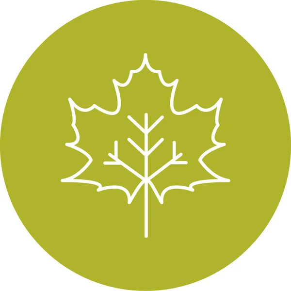 Maple Leaf Pictogram Vectorillustratie — Stockvector
