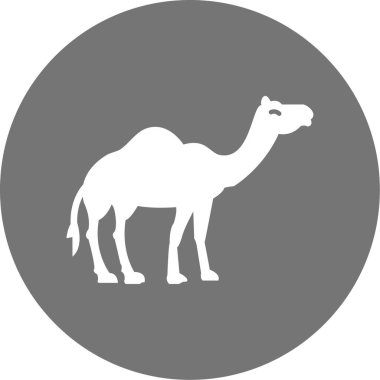 Deve ikonu vektör çizimi