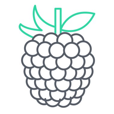 vektör çizimi ahududu simgesi