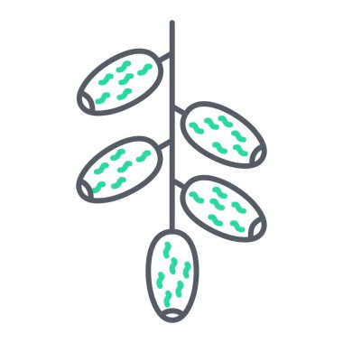 taze meyve vektörü illüstrasyon grafik tasarımı