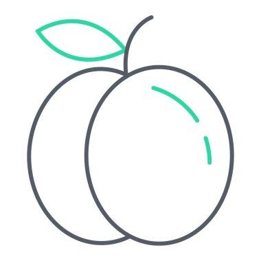 taze meyve vektörü illüstrasyon grafik tasarımı