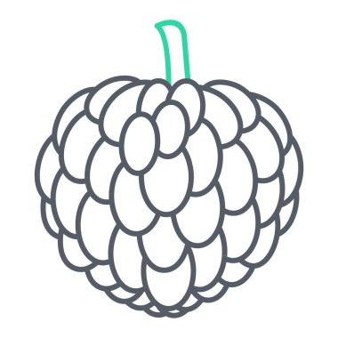 taze meyve vektörü illüstrasyon grafik tasarımı