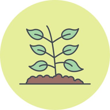 bitki simgesi vektör illüstrasyonu