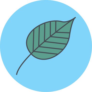 Yaprak ikonu vektör illüstrasyonu