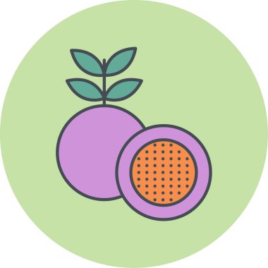 Dragon meyve simgesinin vektör illüstrasyonu