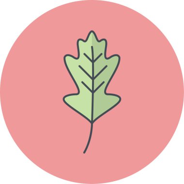 Yaprak ikonu vektör illüstrasyonu