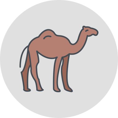 Deve ikonu vektör çizimi