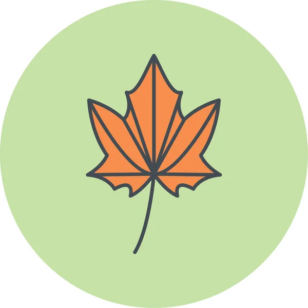 Maple Leaf Icon Vector Illustration — Stock Vector