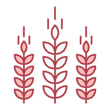 Buğday ikonu vektörü. İnce çizgi işareti. İzole edilmiş kontür sembolü gösterimi