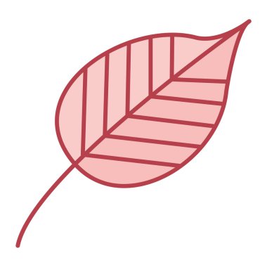 Yaprak ikonu vektör illüstrasyon grafik tasarımı