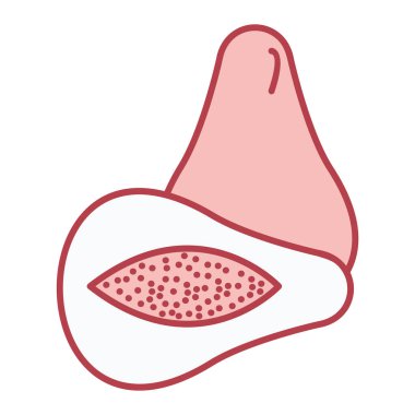 Taze meyve ikonu. vektör illüstrasyonu