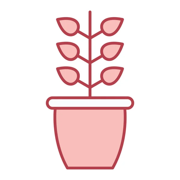 Pflanze Einem Topf Vektor Illustration Design — Stockvektor