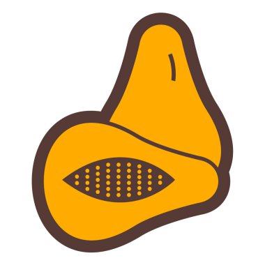 balkabağı ikonu. Beyaz arkaplanda izole edilmiş mısır vektör sembolünün düz çizimi