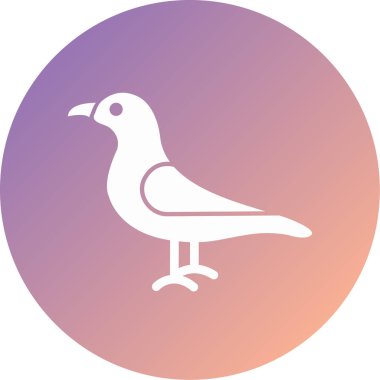 kuş vektör simgesi düz simge