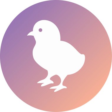 civciv modern simge vektör illüstrasyonu