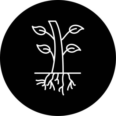 Kökleri simge vektör illüstrasyonu